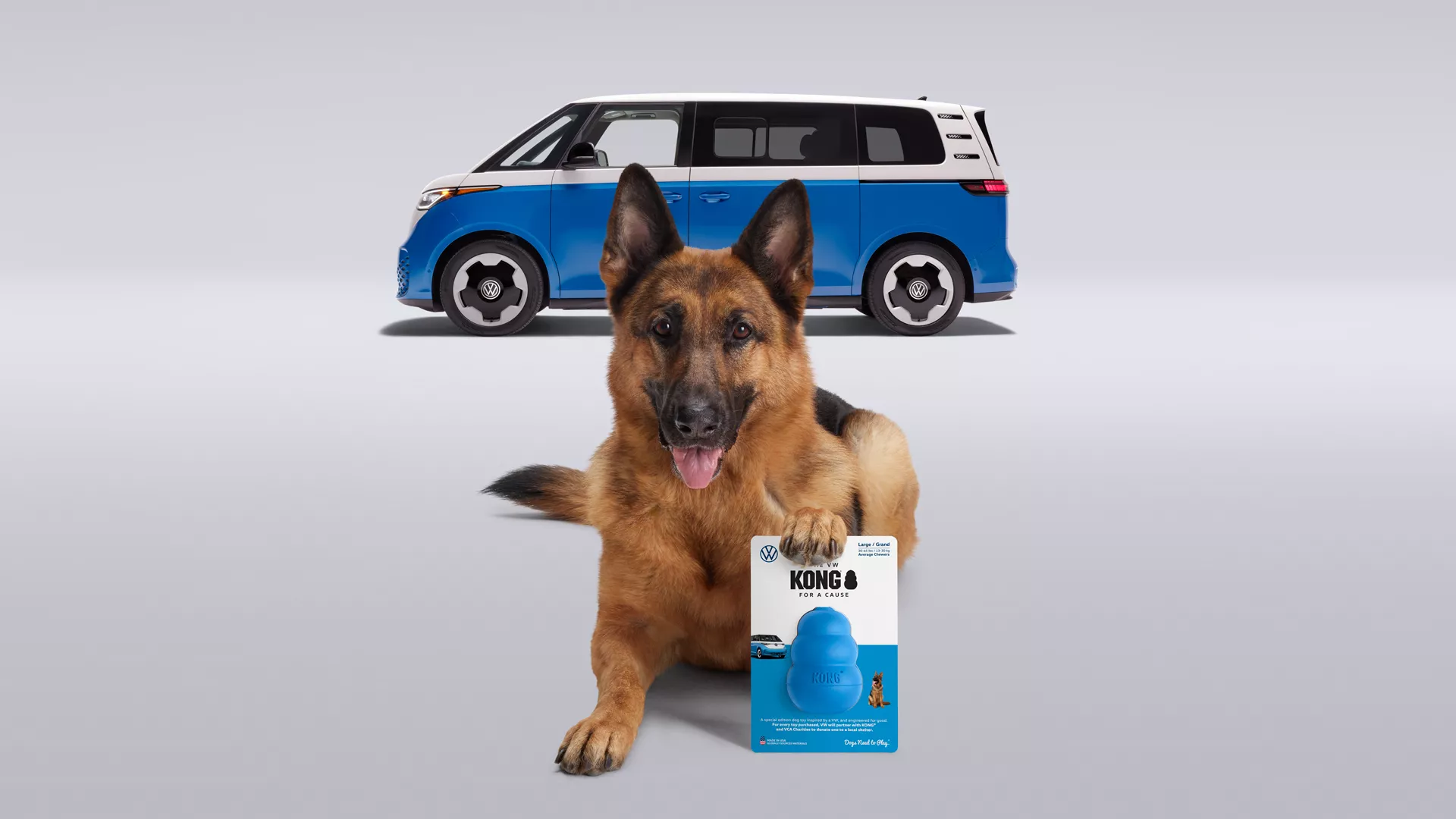 Volkswagen para perros