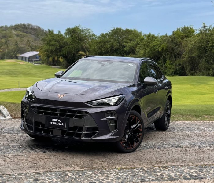 Cupra Terramar