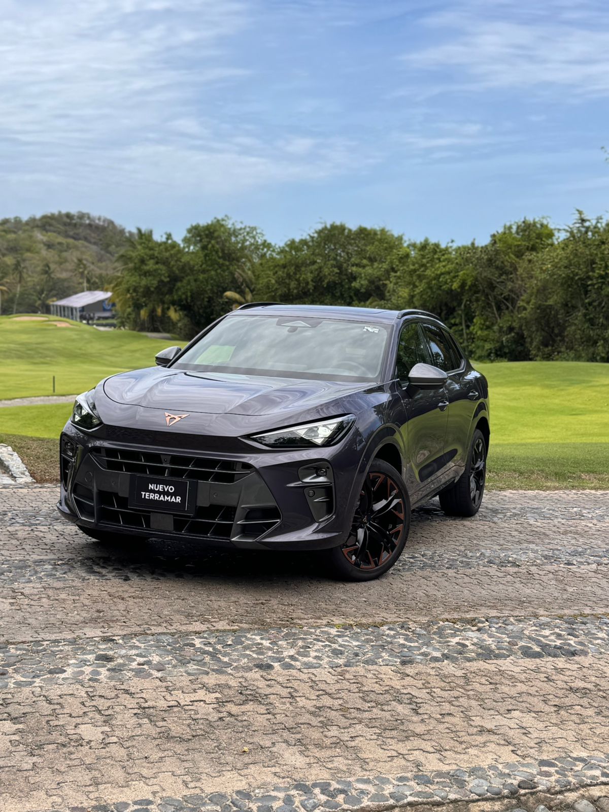 Cupra Terramar