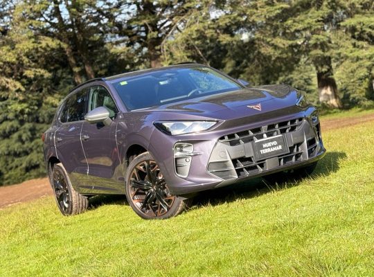 Cupra Terramar Autoanalítica
