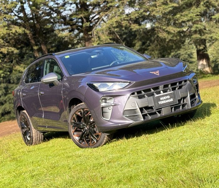 Cupra Terramar Autoanalítica