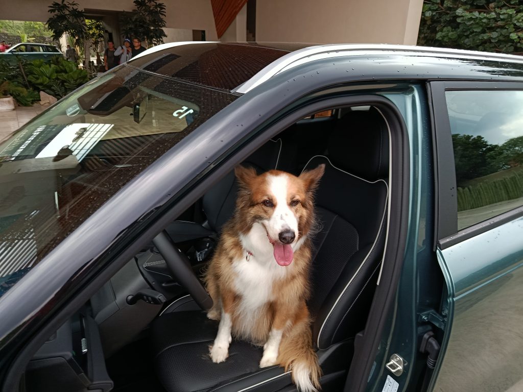Jaecoo 5 y Tiggo 8 PHEV CSH