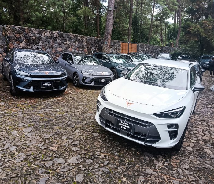 Cupra León y Formentor 190 hp