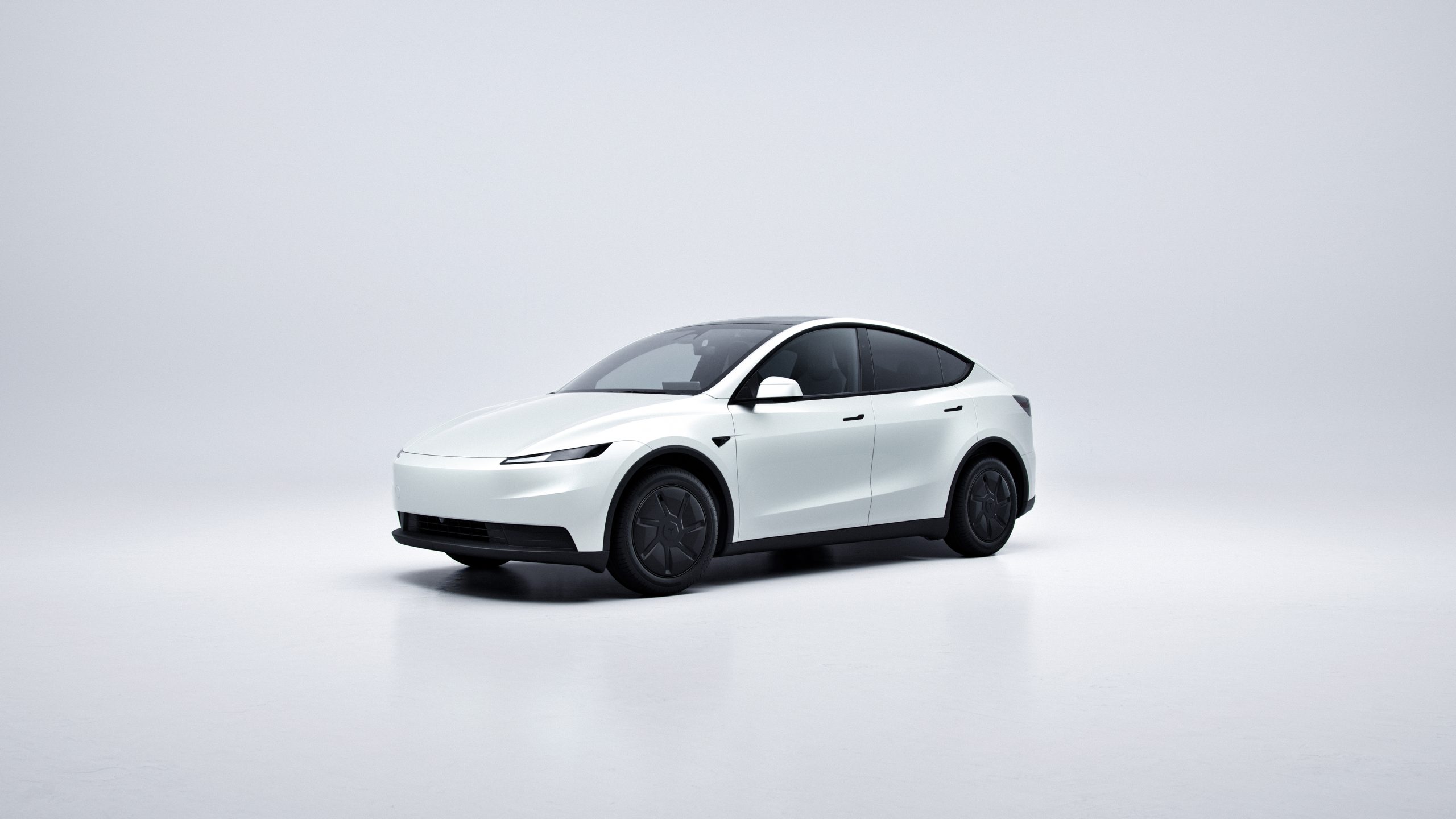 Tesla Model 3 y Model Y