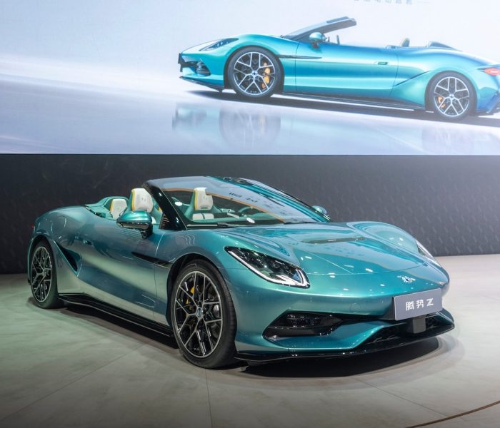 Denza Z autoanalitica 01