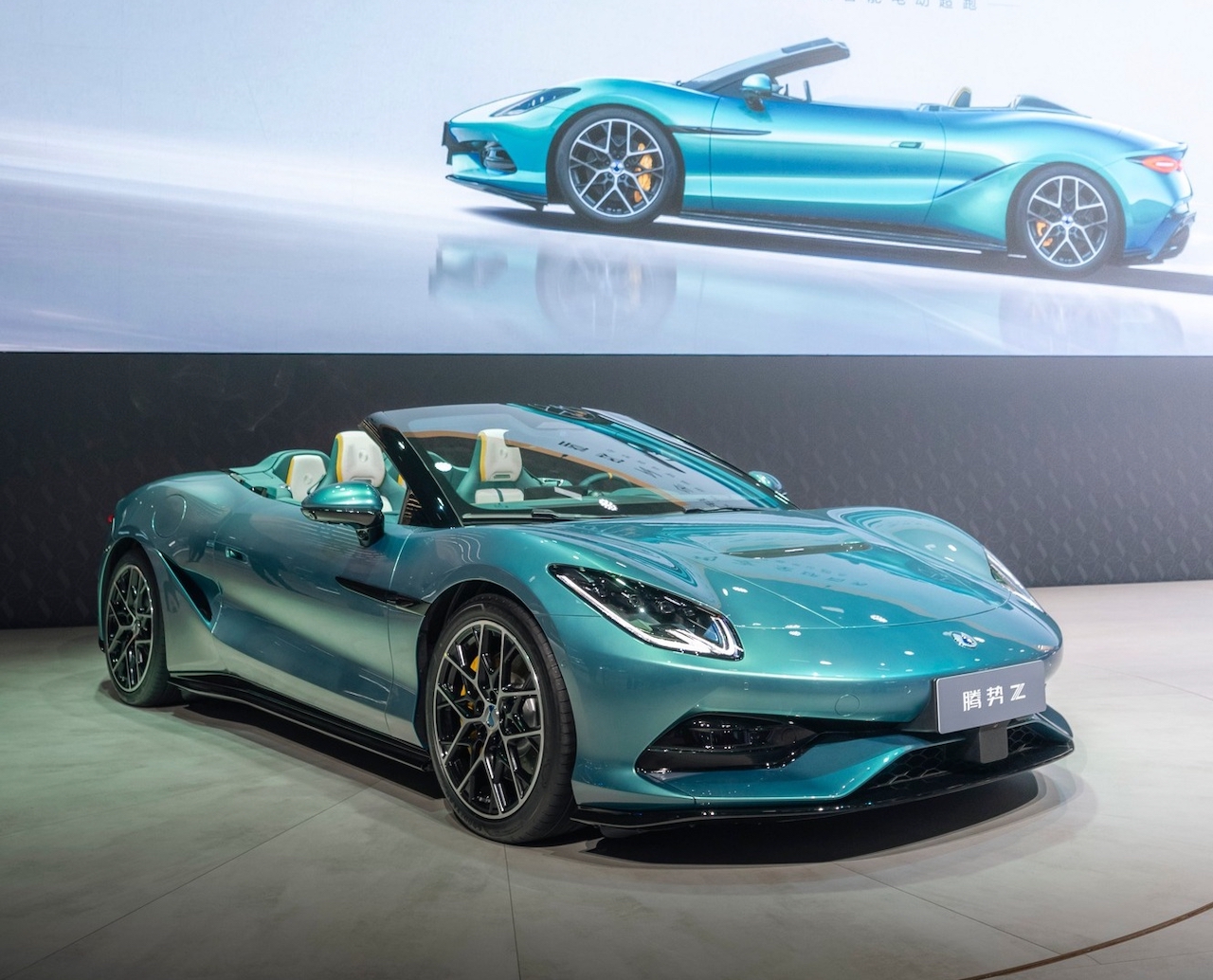 Denza Z autoanalitica 01