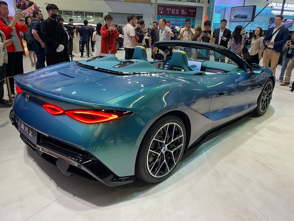 Denza Z autoanalitica 02