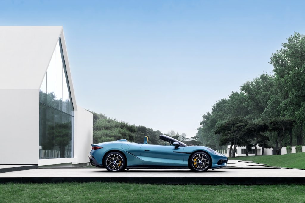 Denza Z autoanalitica 04