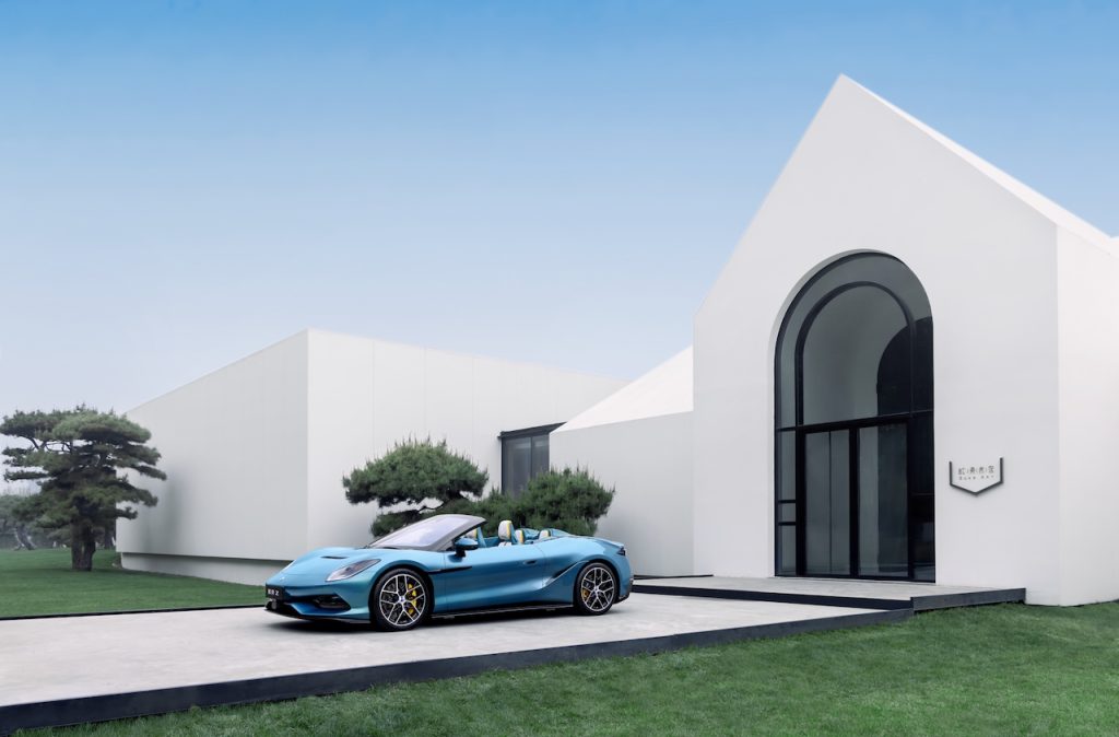 Denza Z autoanalitica 05