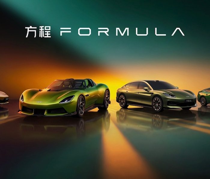 Fangchegbao Formula autoanalitica 04