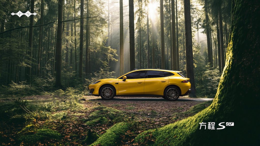 Fangchegbao Formula autoanalitica 06