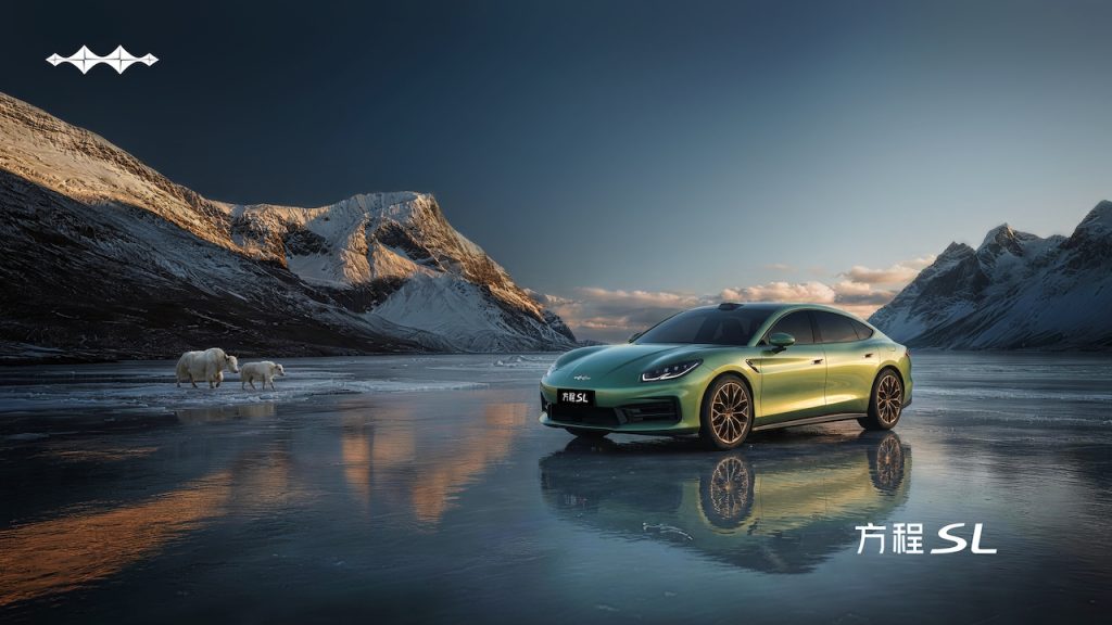 Fangchegbao Formula autoanalitica 08