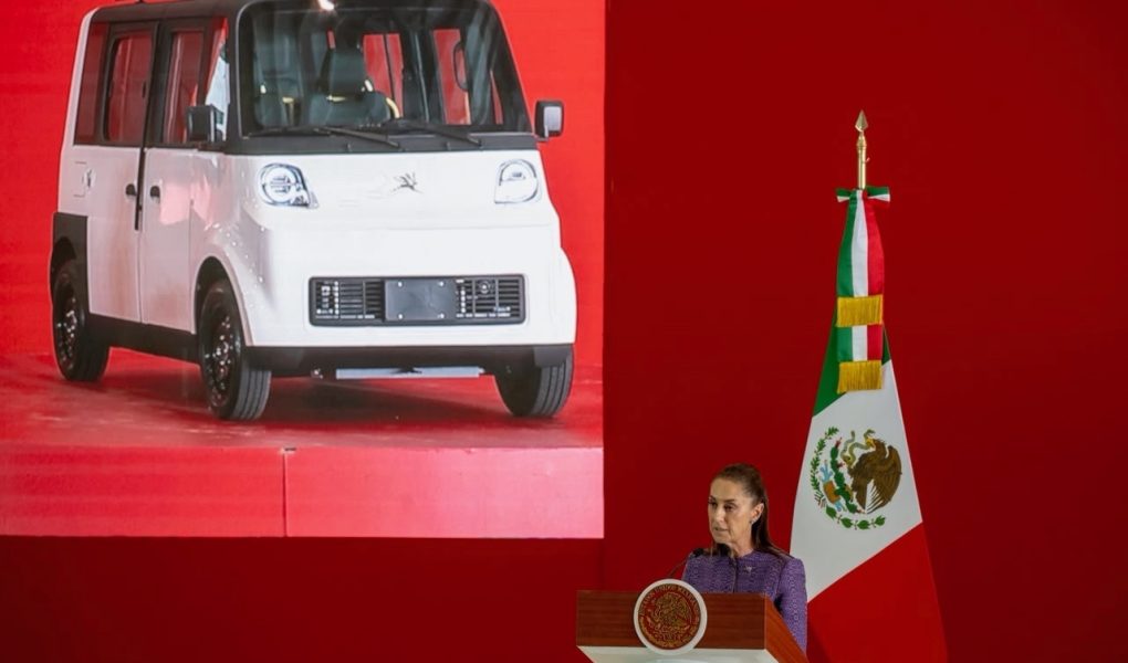 OLINIA 1 AUTOANALITICA 01