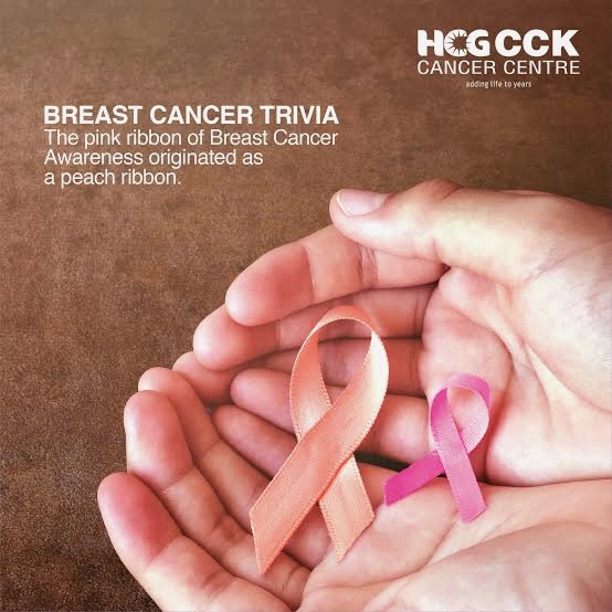 Liston rosa cancer de mama Autoanalitica 1