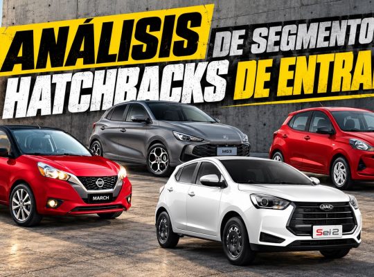 analisis segmento hatchs de entrada autoanalitica 1