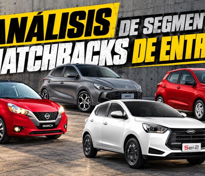 analisis segmento hatchs de entrada autoanalitica 1